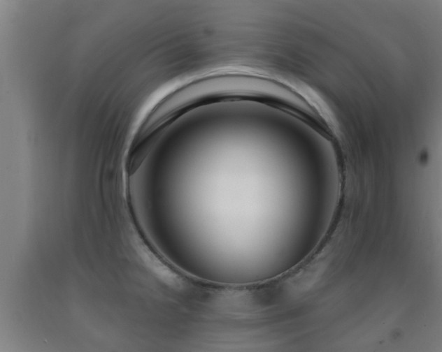 X0000093091238200709261222