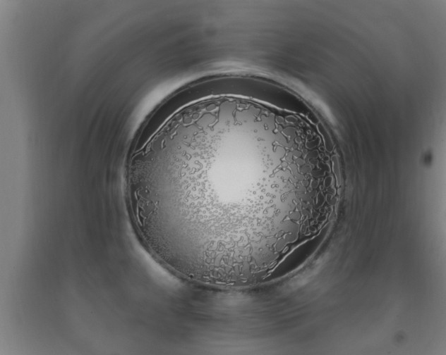 X0000093091239200709261222