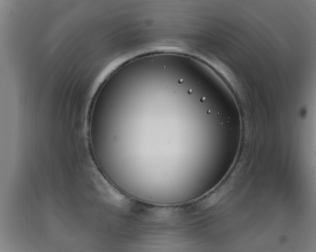 X0000093091240200709261222