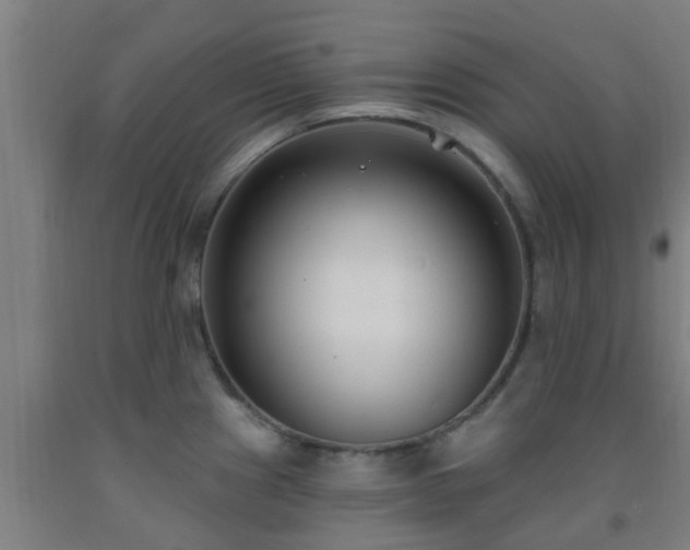 X0000093091241200709261222