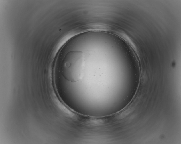 X0000093091243200709261222