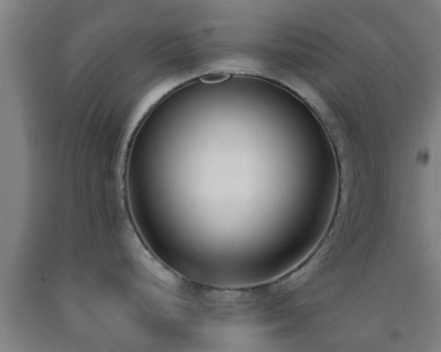 X0000093091248200709261222