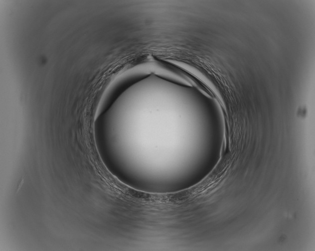 X0000093091249200709261222