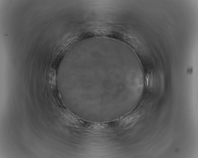 X0000093091251200709261221