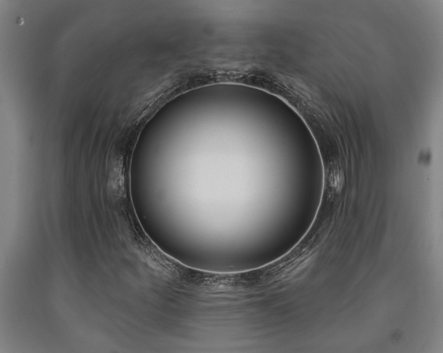 X0000093091252200709261221