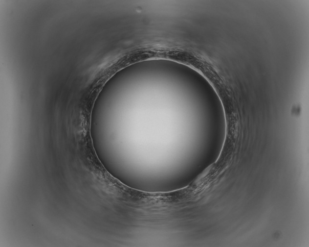 X0000093091253200709261221