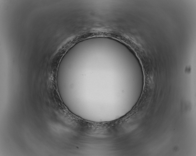 X0000093091254200709261221