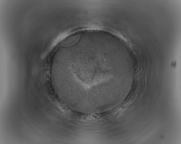 X0000093091255200709261221