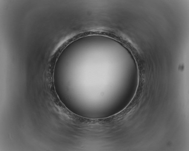 X0000093091256200709261221