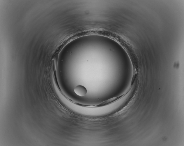 X0000093091257200709261221