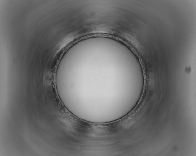 X0000093091258200709261221
