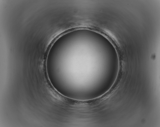 X0000093091260200709261221