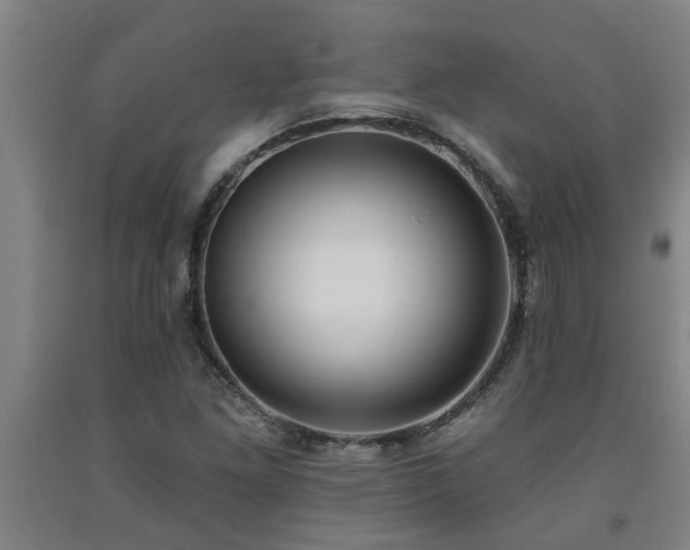 X0000093091261200709261221
