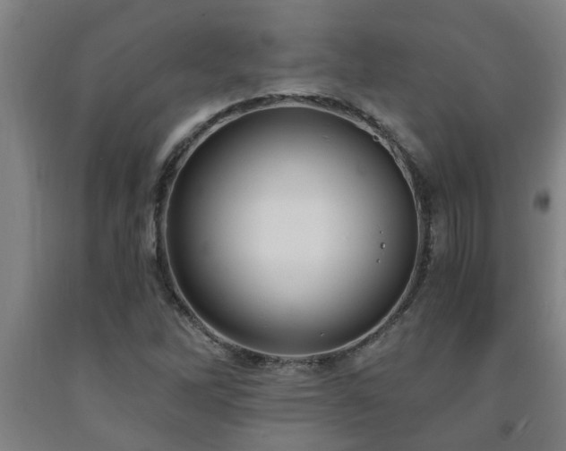 X0000093091262200709261221
