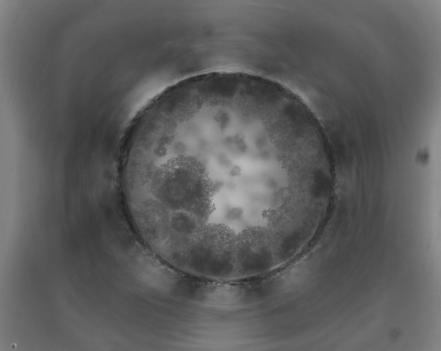 X0000093091263200709261221
