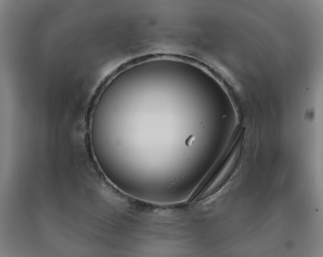 X0000093091264200709261221