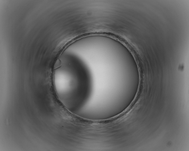 X0000093091265200709261221