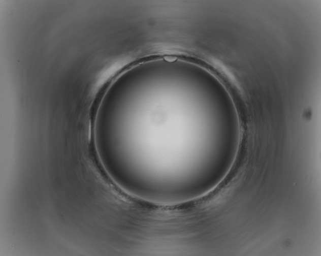 X0000093091269200709261221