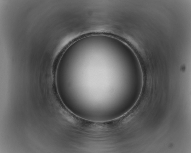 X0000093091270200709261221