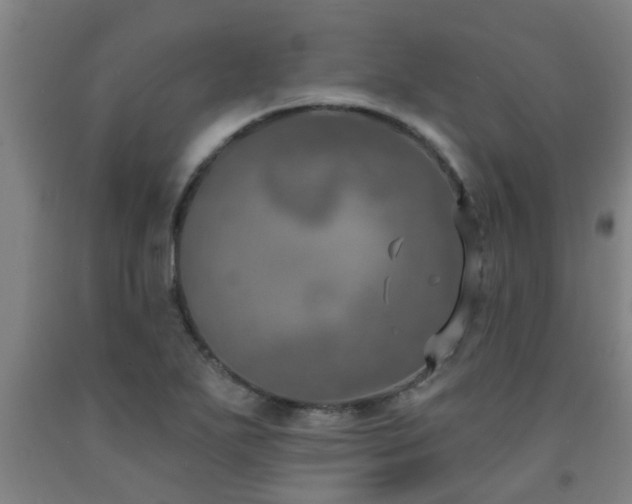 X0000093091271200709261221