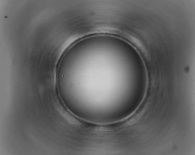 X0000093091275200709261221