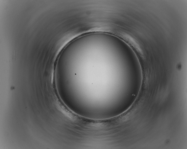 X0000093091276200709261221