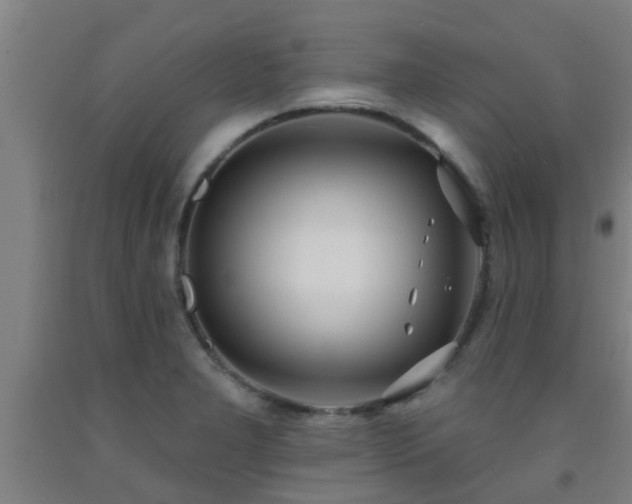 X0000093091277200709261221