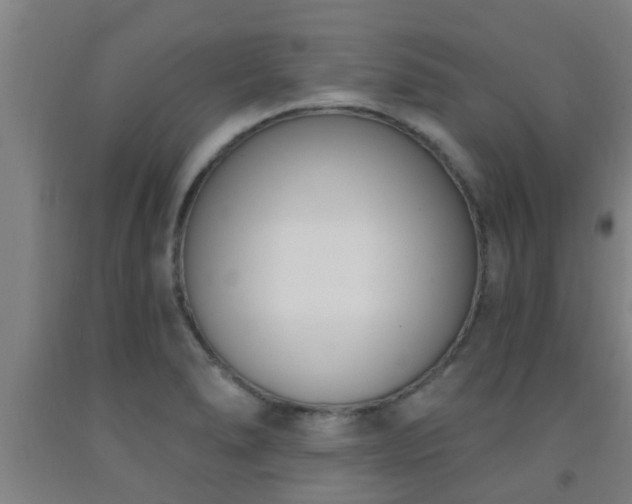 X0000093091278200709261221