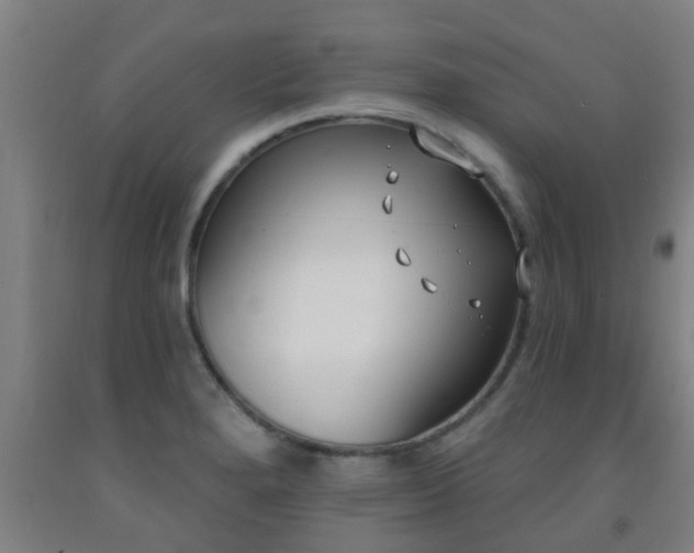 X0000093091280200709261221