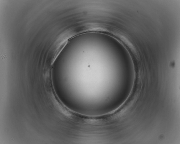 X0000093091281200709261221