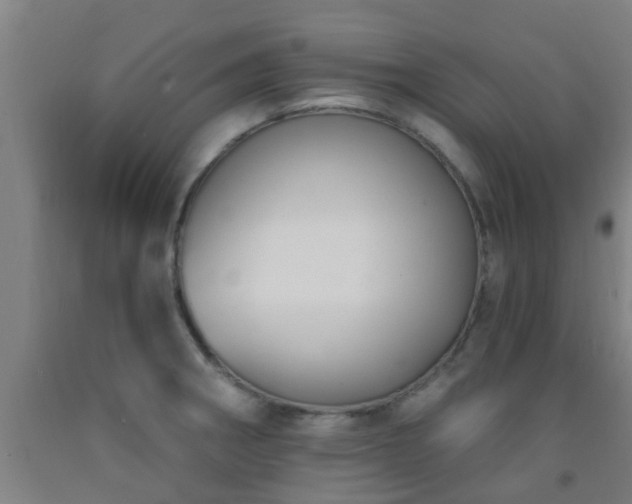 X0000093091282200709261221