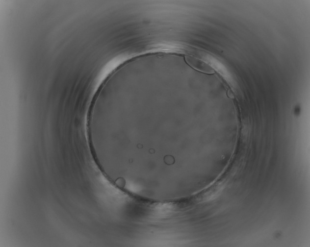 X0000093091283200709261221