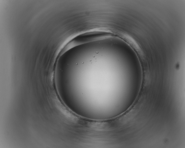 X0000093091284200709261221