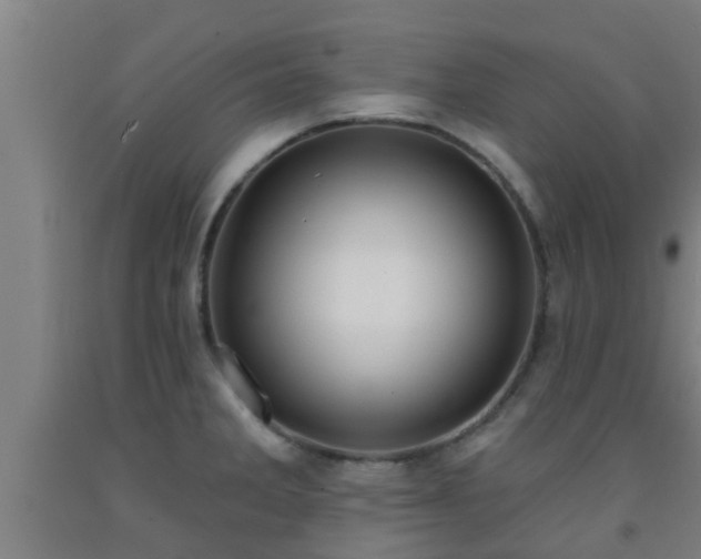 X0000093091285200709261221