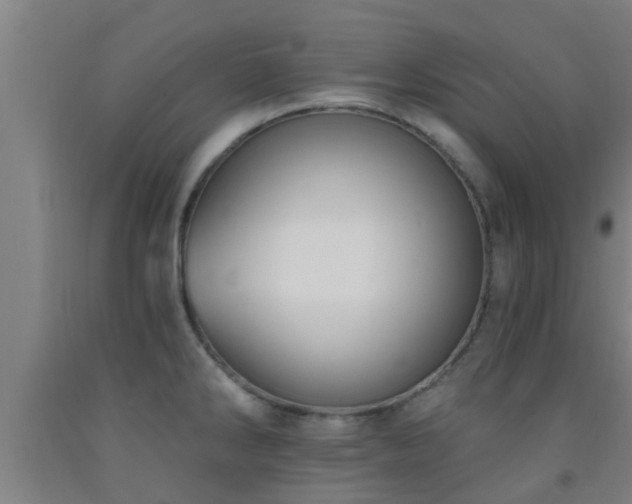 X0000093091286200709261221