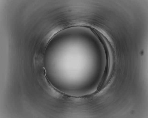 X0000093091289200709261221