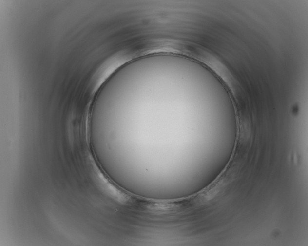 X0000093091290200709261221