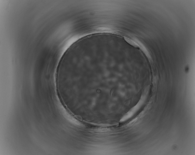 X0000093091291200709261221