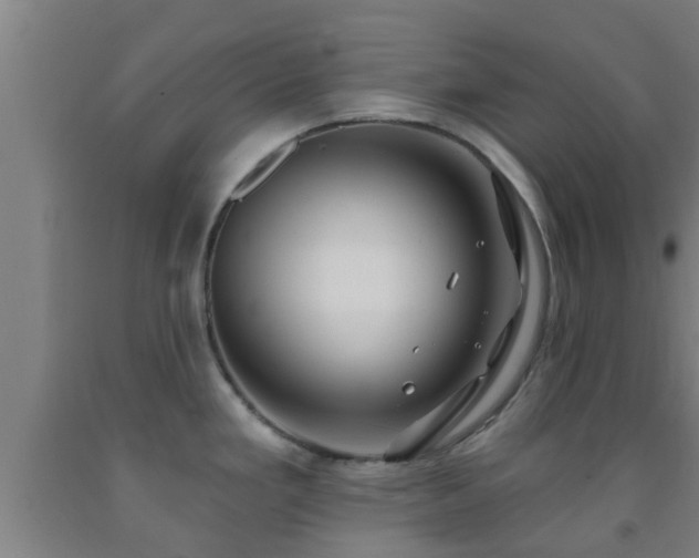 X0000093091293200709261221