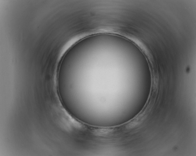 X0000093091294200709261221
