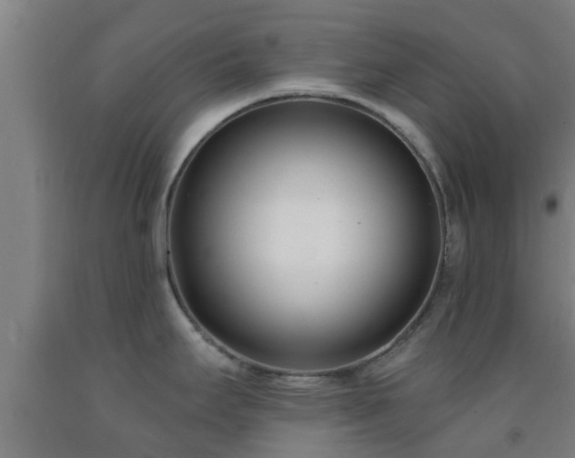 X0000093091295200709261221