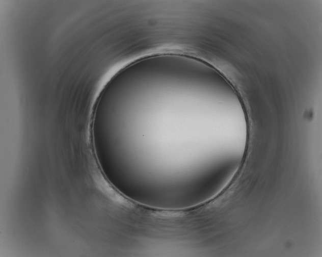 X0000093091296200709261221