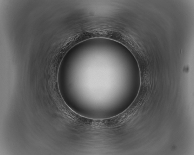X0000093091297200709261220