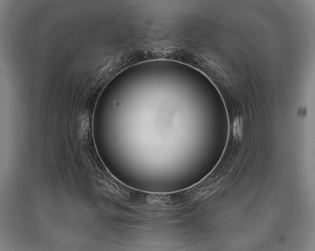 X0000093091299200709261220