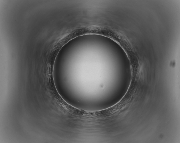 X0000093091301200709261220