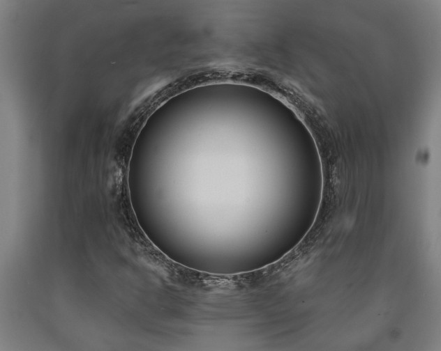 X0000093091302200709261220