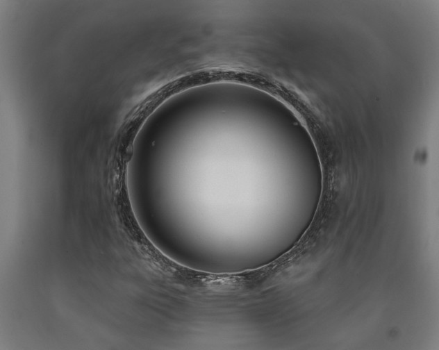 X0000093091303200709261220