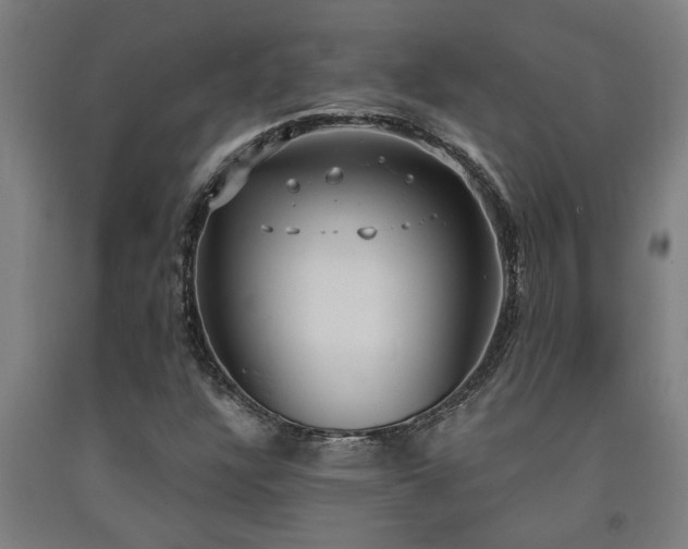 X0000093091304200709261220