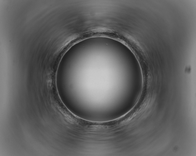 X0000093091305200709261220