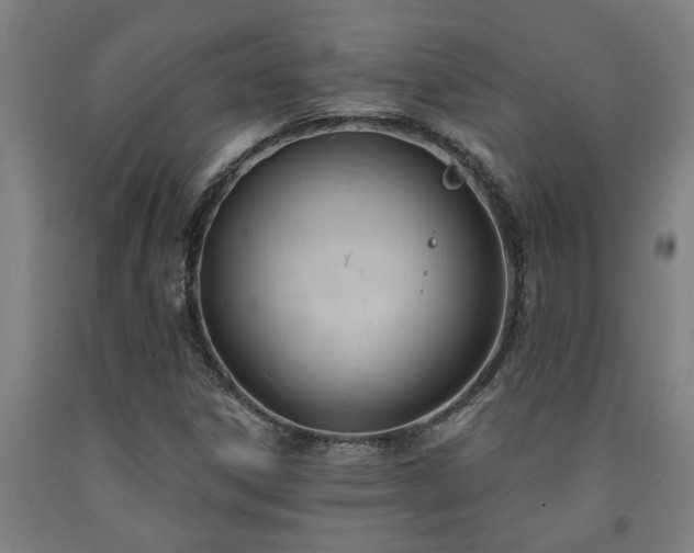 X0000093091306200709261220